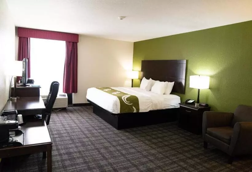 キングサイズベッドのスタンダードルーム, Quality Inn Seymour I65