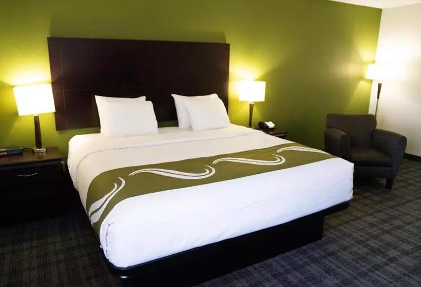 キングサイズベッドのスタンダードルーム, Quality Inn Seymour I65