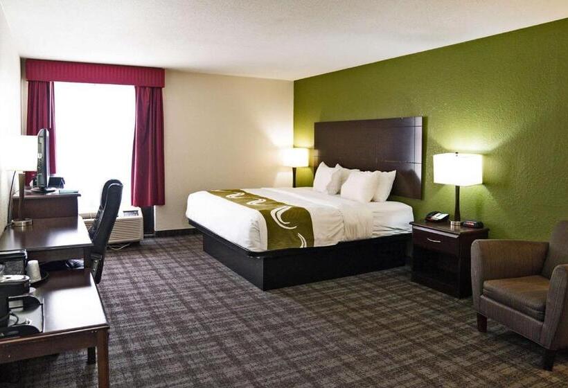 غرفة قياسية سرير كينج, Quality Inn Seymour I65