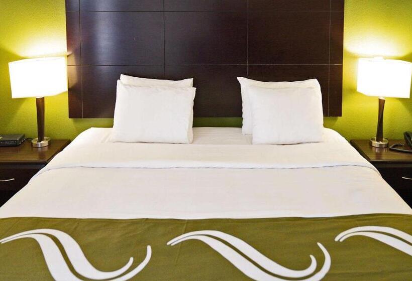 스탠다드 룸 킹사이즈 침대, Quality Inn Seymour I65