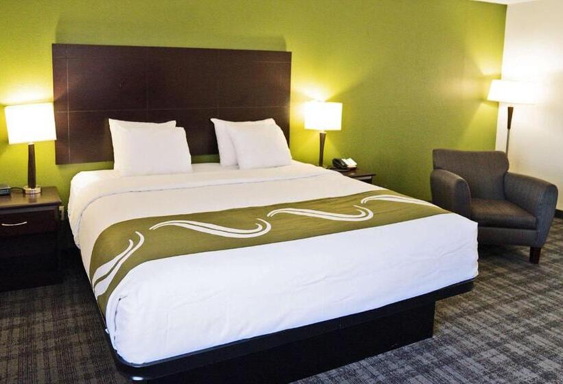 غرفة قياسية سرير كينج, Quality Inn Seymour I65