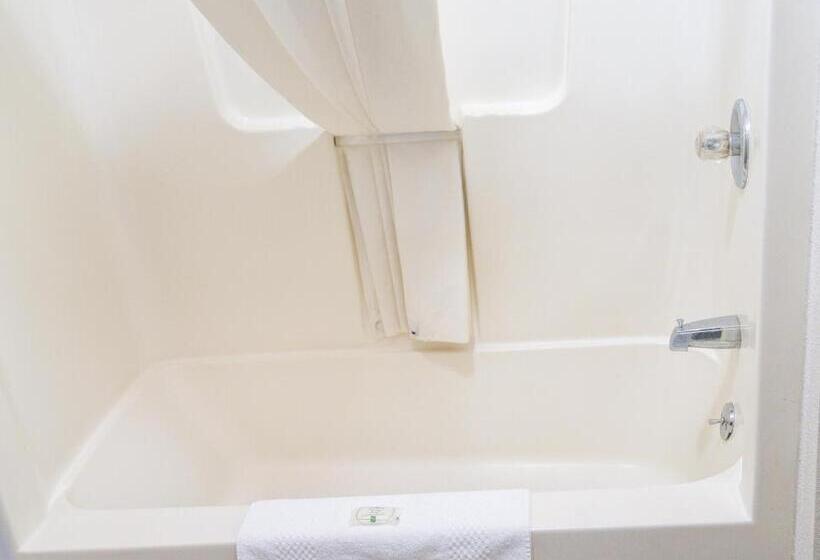 غرفة قياسية, Quality Inn Seymour I65