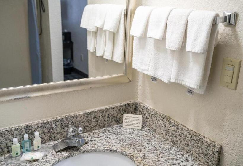 غرفة قياسية, Quality Inn Seymour I65