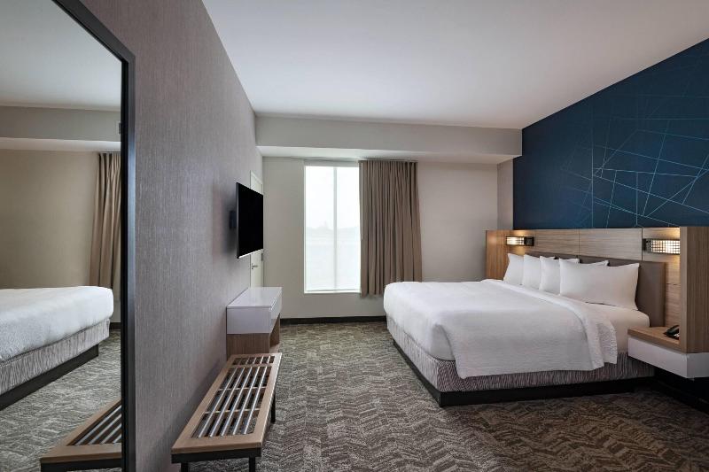 带大床的套房, Springhill Suites Waco
