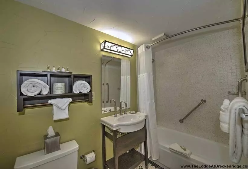 اتاق استاندارد با تخت بزرگ, The Lodge At Breckenridge