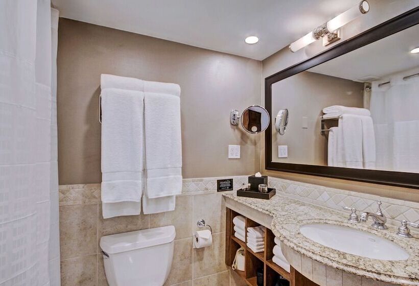 디럭스 룸, Lodge At Vail, A Rockresort