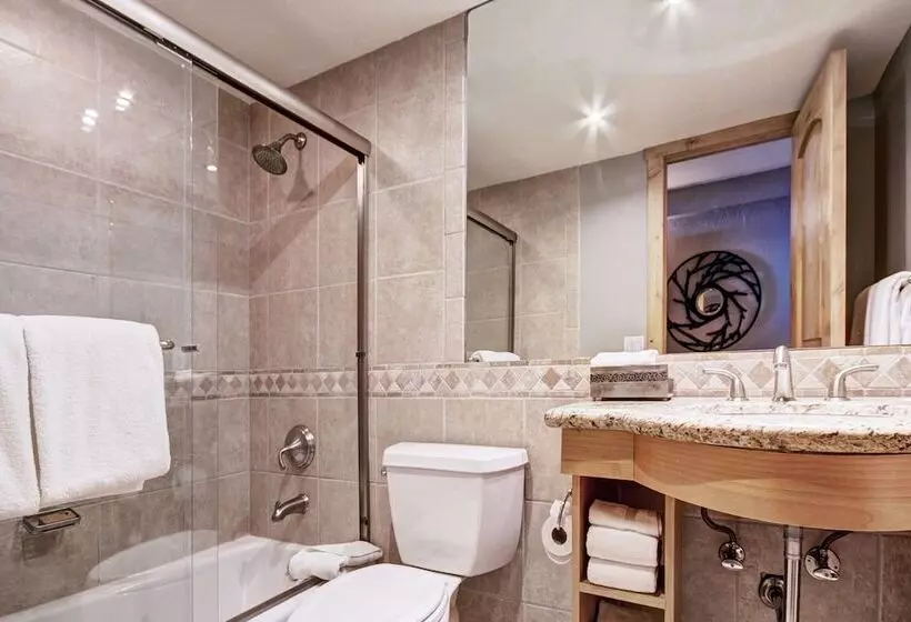 １ベッドルームアパートメント, Lodge At Vail, A Rockresort