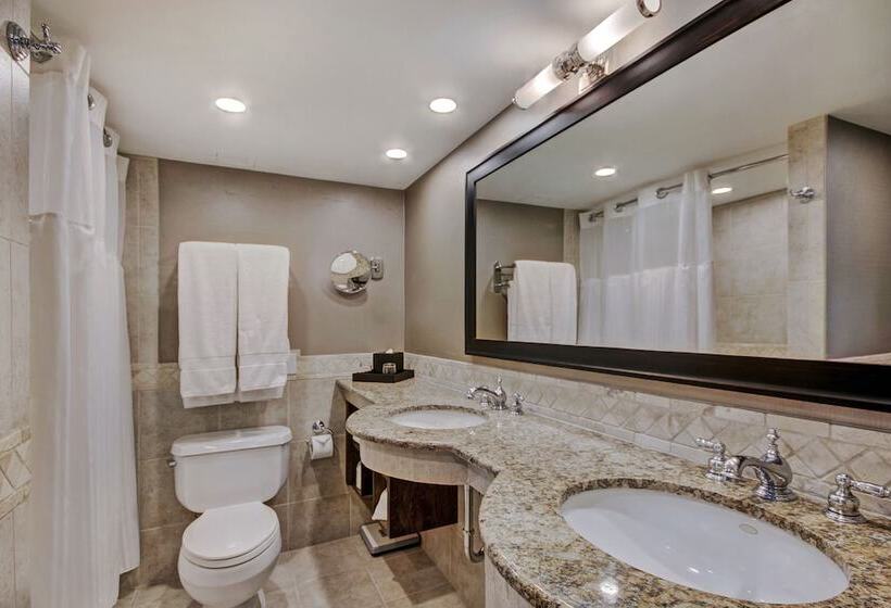 이그제큐티브 스위트, Lodge At Vail, A Rockresort