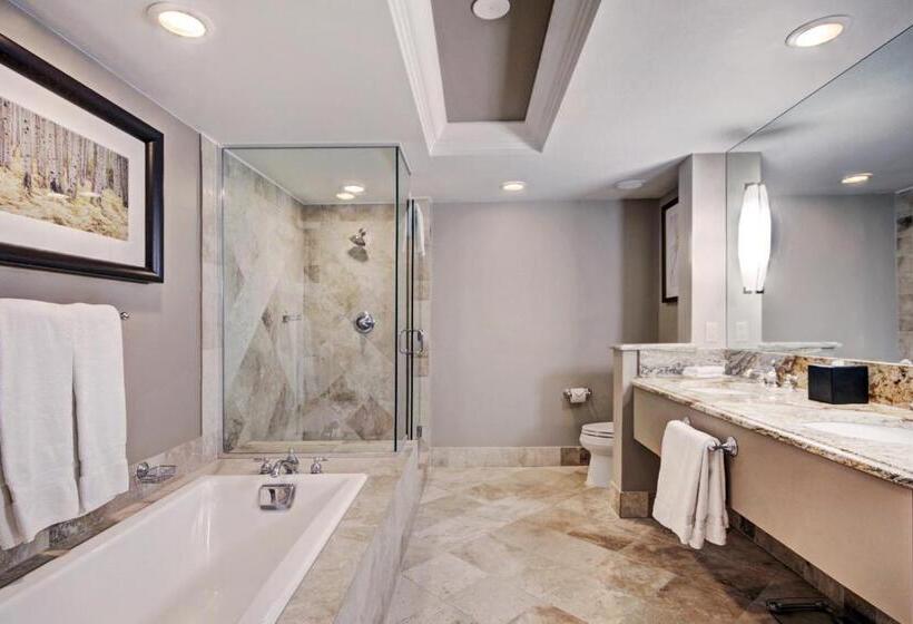 스탠다드 룸 킹사이즈 침대, Lodge At Vail, A Rockresort