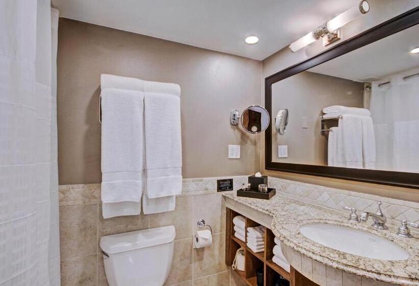 디럭스 룸, Lodge At Vail, A Rockresort