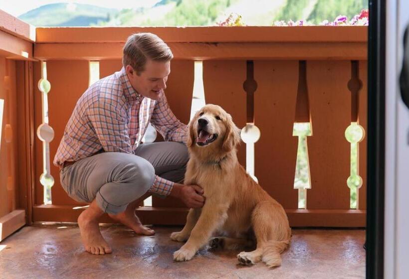 디럭스 룸, Lodge At Vail, A Rockresort