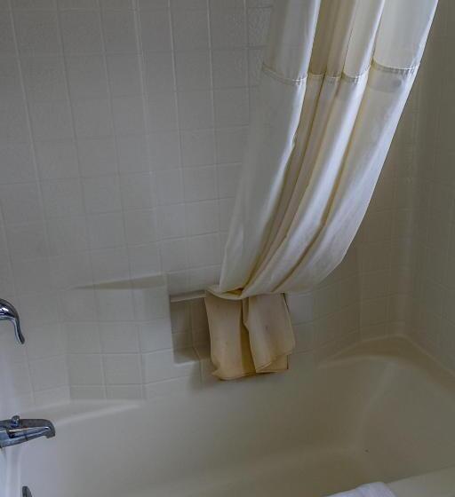 带大床的标准间, Lakeview Lodge Motel