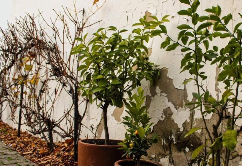 Номер Стандарт с Балконом, Il Galeone