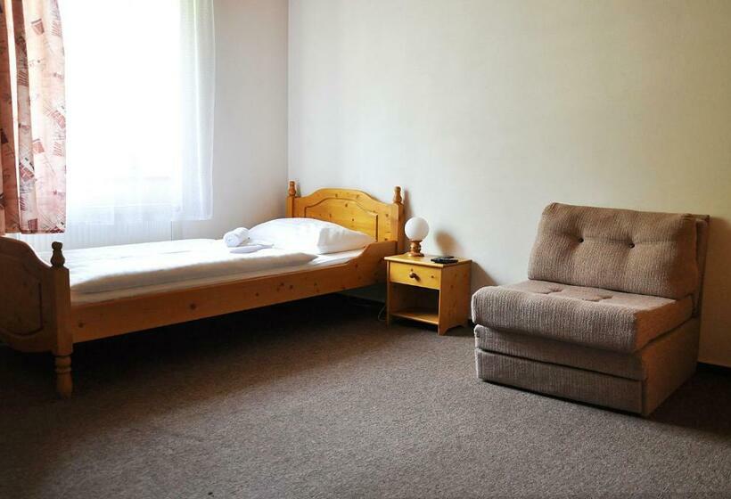 חדר סטנדרט יחיד, Penzion Diana