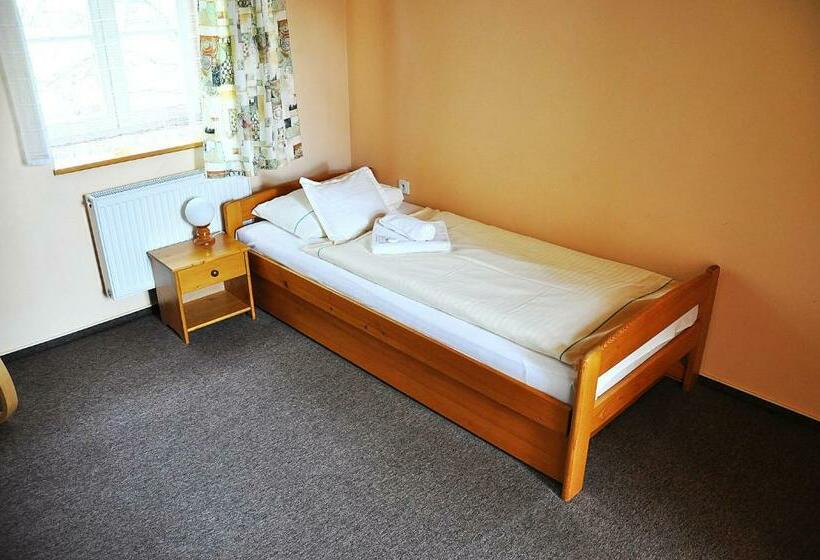 חדר סטנדרט יחיד, Penzion Diana