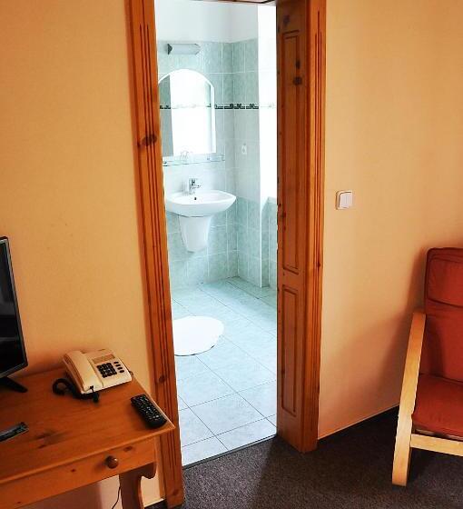 חדר סטנדרט יחיד, Penzion Diana