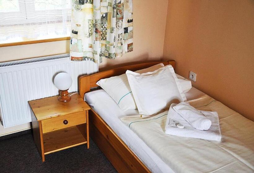 חדר סטנדרט יחיד, Penzion Diana