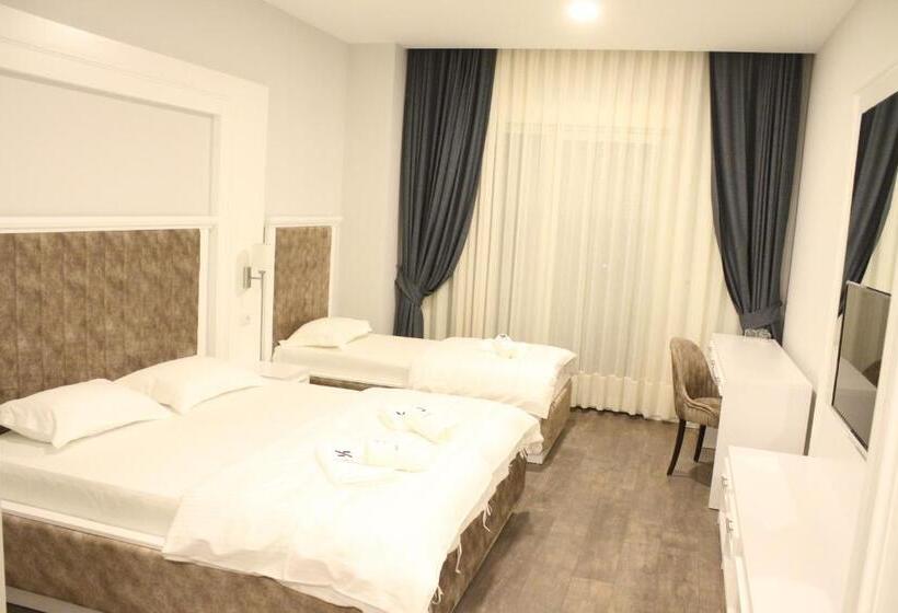 اتاق استاندارد سه تخته با بالکن, Sky