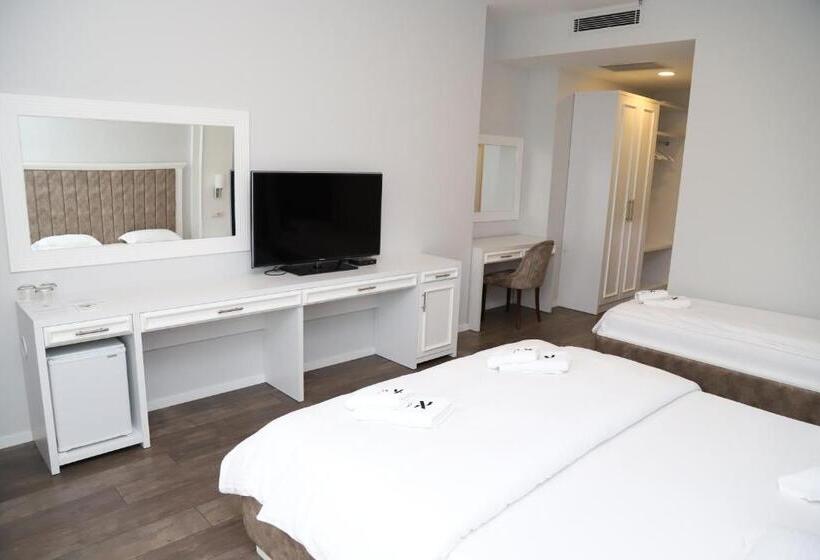 اتاق استاندارد سه تخته با بالکن, Sky