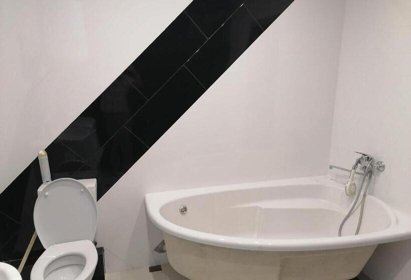 استودیوی استاندارد, Mini Otel On Harkivske Shose
