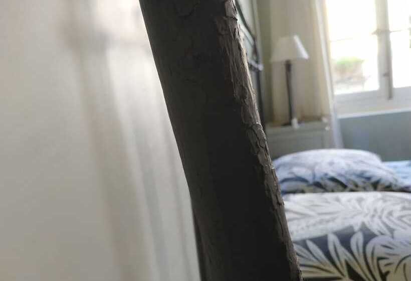 Номер Стандарт, Rue Du Château