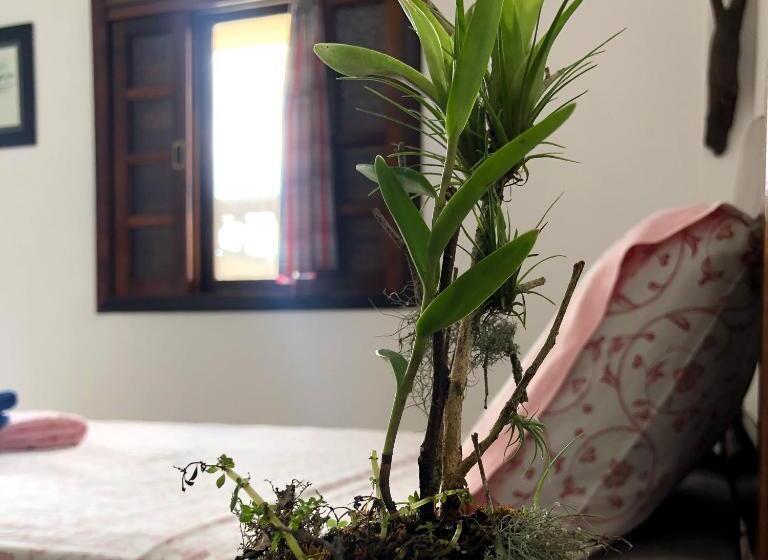 סוויטת סופריור, Pousada Atelier Aly Da Costa