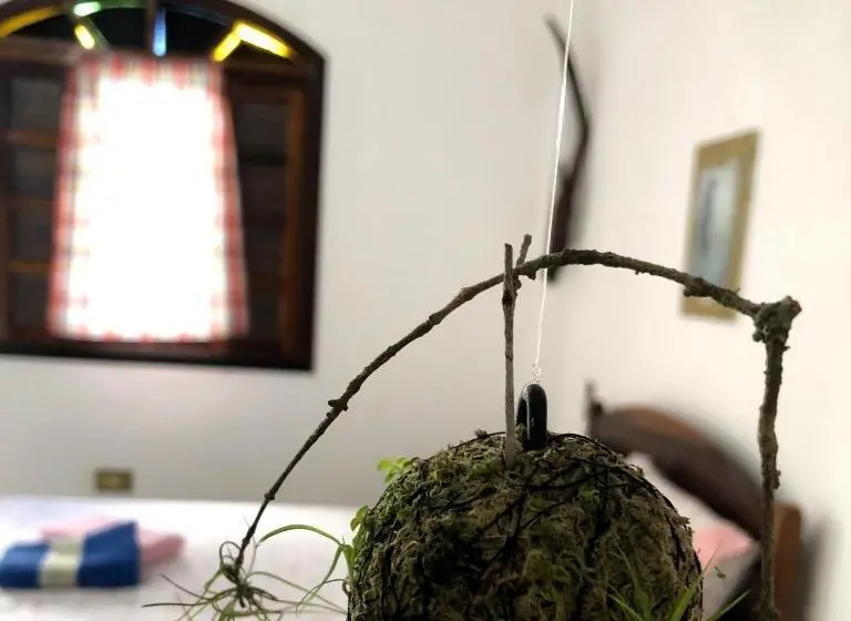 スーペリアースイート, Pousada Atelier Aly Da Costa