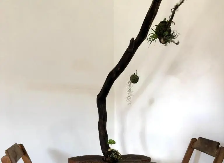 スーペリアースイート, Pousada Atelier Aly Da Costa