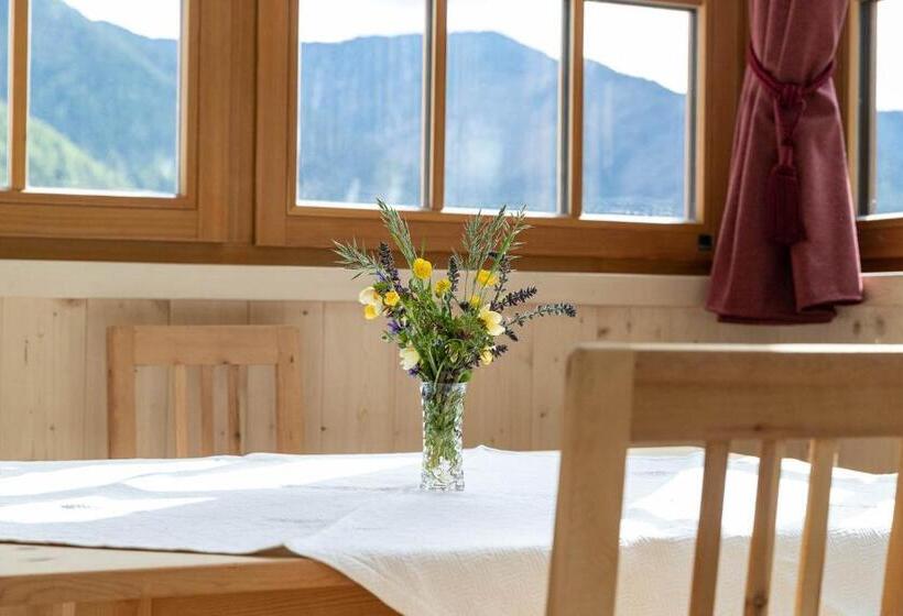 バルコニー付き1ベッドルームアパートメント, Villa Messner