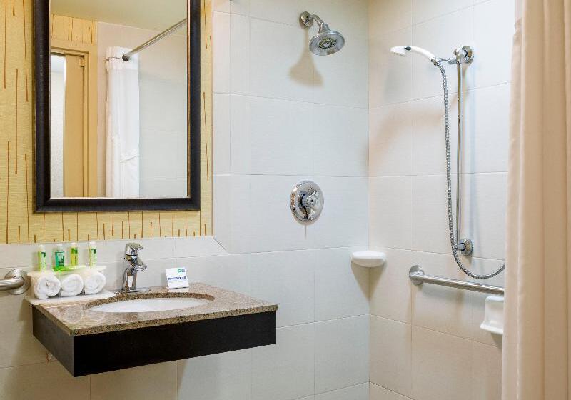 Номер Executive Кровать Кинг, Holiday Inn Express Frazer Malvern, An Ihg