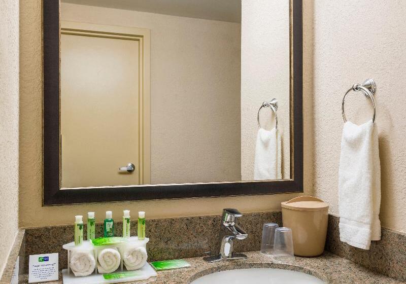 Номер Executive Кровать Кинг, Holiday Inn Express Frazer Malvern, An Ihg