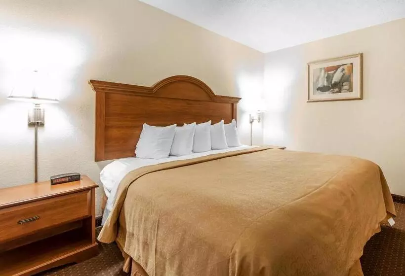 キングサイズベッドのスイートルーム, Quality Inn & Suites At Dollywood Lane