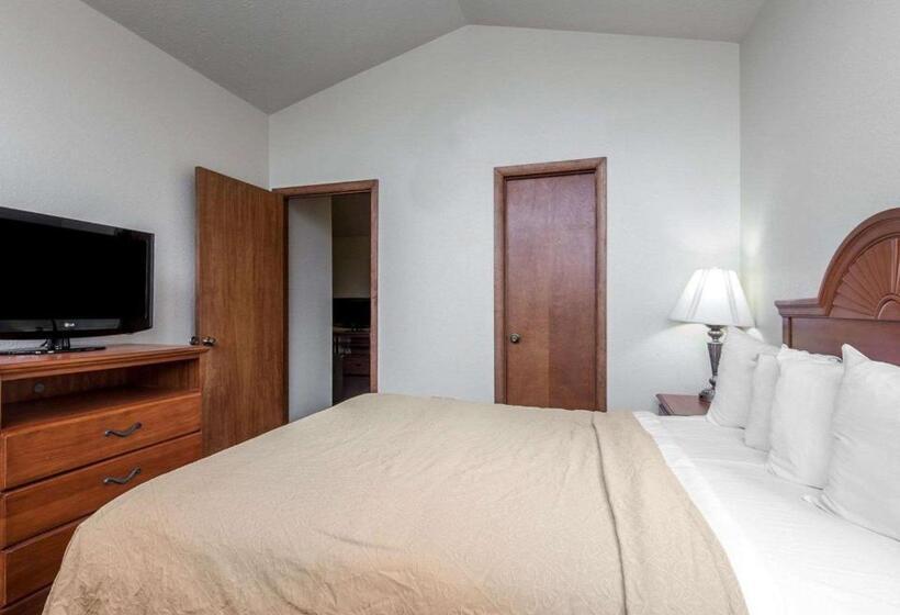 سوئیت با تخت بزرگ, Quality Inn & Suites At Dollywood Lane