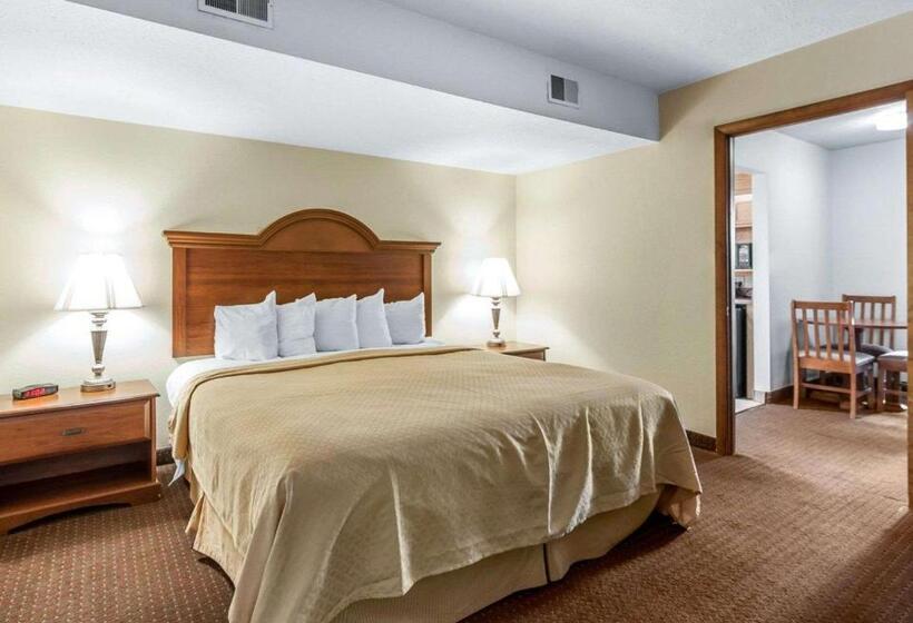 带大床的套房, Quality Inn & Suites At Dollywood Lane