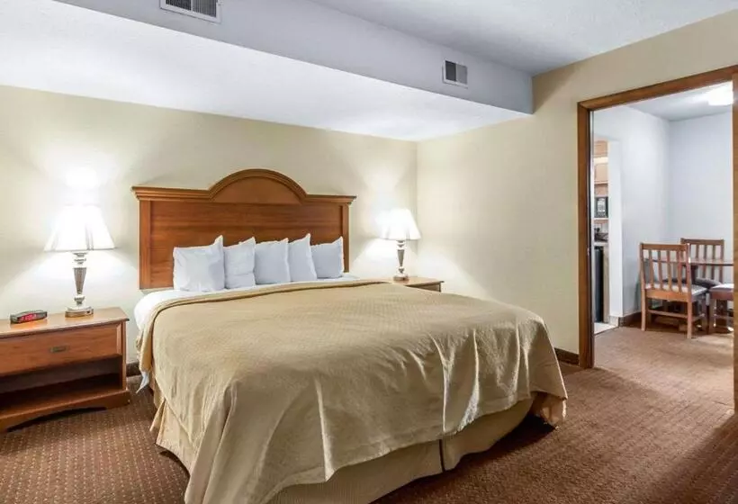 身障者適用キングサイズベッドルーム, Quality Inn & Suites At Dollywood Lane