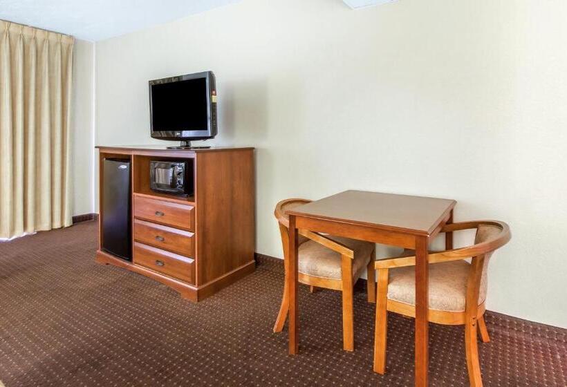 اتاق استاندارد با تخت بزرگ برای معلولان, Quality Inn & Suites At Dollywood Lane