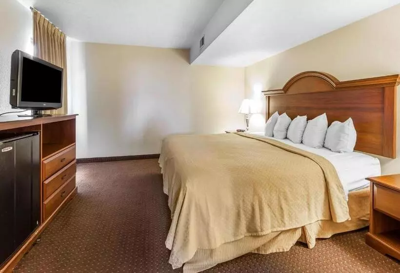 身障者適用キングサイズベッドルーム, Quality Inn & Suites At Dollywood Lane