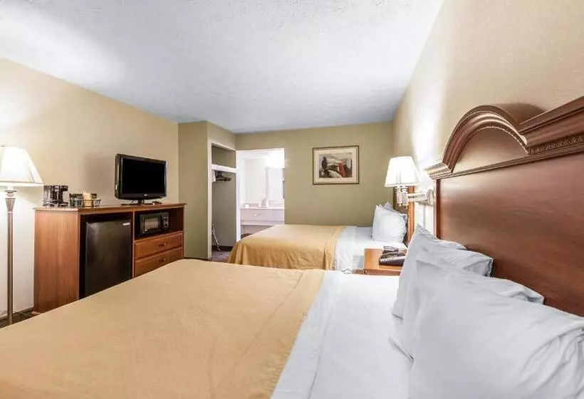 スイート, Quality Inn & Suites At Dollywood Lane