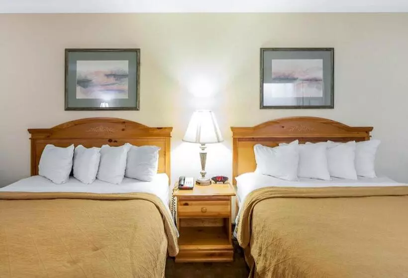 スイート, Quality Inn & Suites At Dollywood Lane