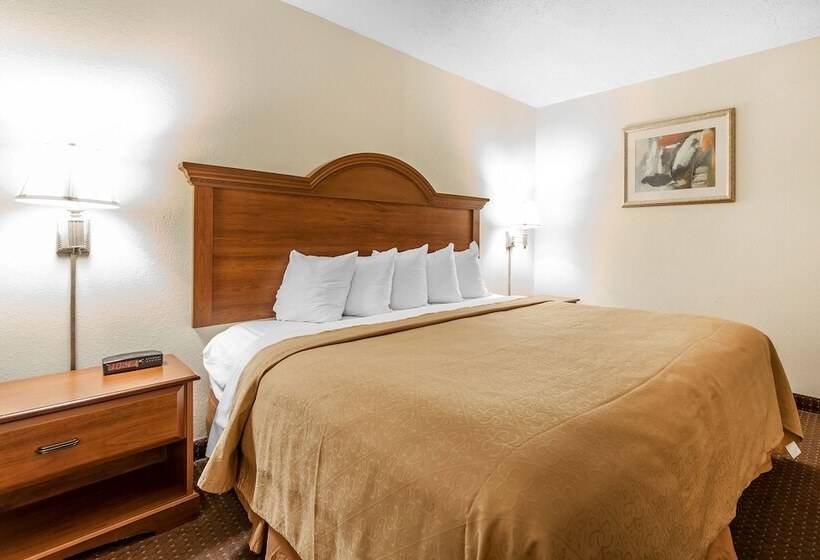 سوییت, Quality Inn & Suites At Dollywood Lane