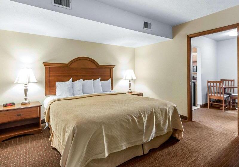 سوئیت با تخت بزرگ, Quality Inn & Suites At Dollywood Lane