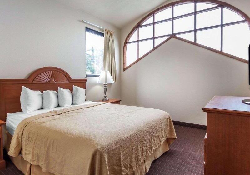 سوئیت با تخت بزرگ, Quality Inn & Suites At Dollywood Lane