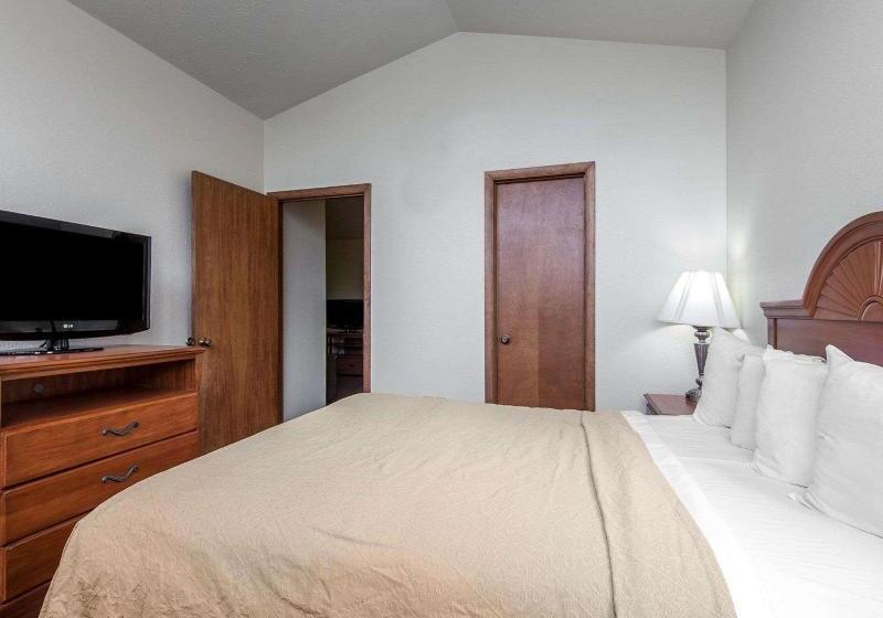 带大床的套房, Quality Inn & Suites At Dollywood Lane