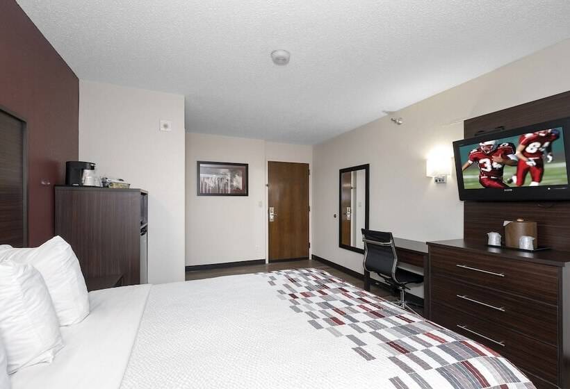 غرفة سوبيريور لذوى الاحتياجات الخاصة, Red Roof Inn Springfield, Mo