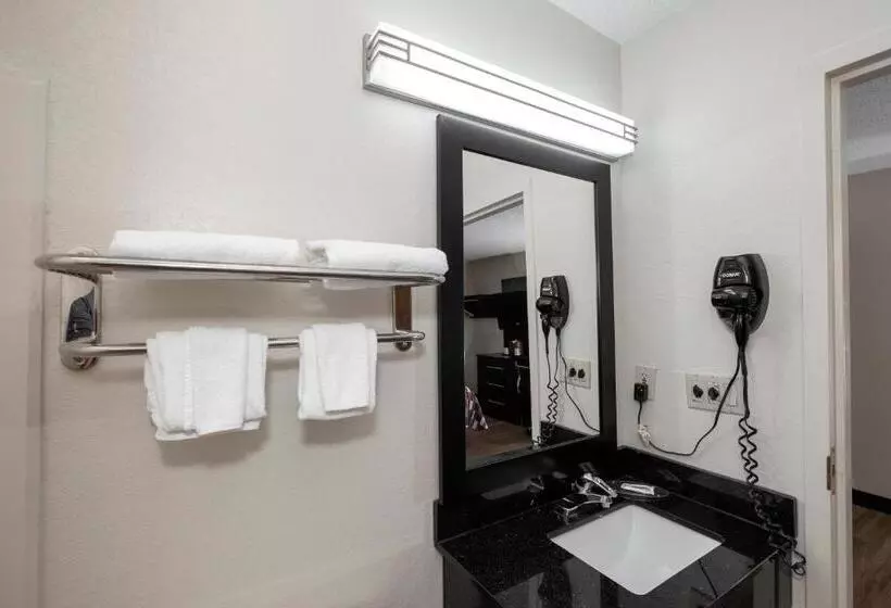 اتاق سوپریور با تخت بزرگ, Red Roof Inn Springfield, Mo