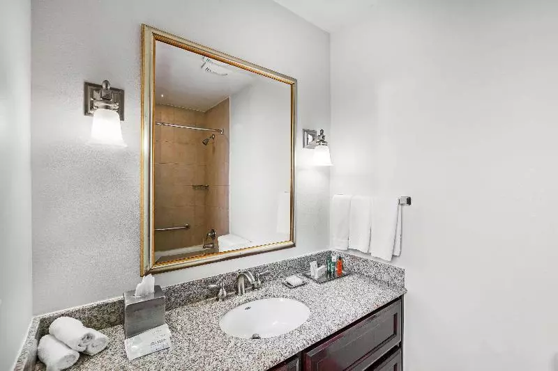 سوئیت با تخت بزرگ, Towneplace Suites Sioux Falls
