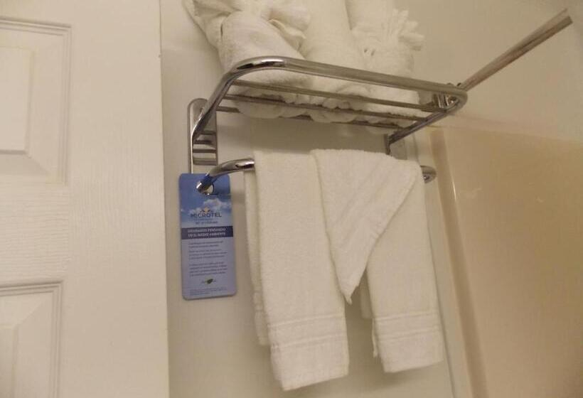 غرفة قياسية, Microtel Inn By Wyndham Athens