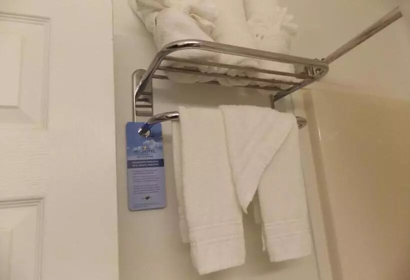 スタンダードルーム, Microtel Inn By Wyndham Athens