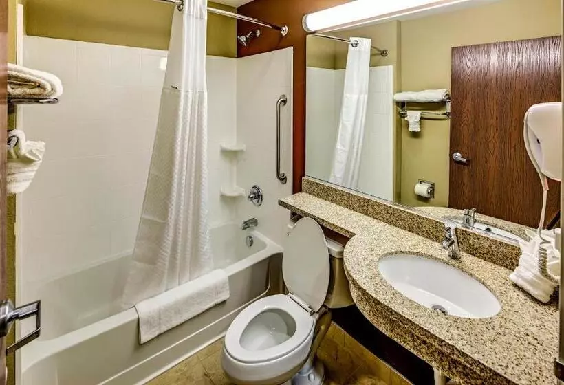 اتاق استاندارد, Microtel Inn And Suites North Canton