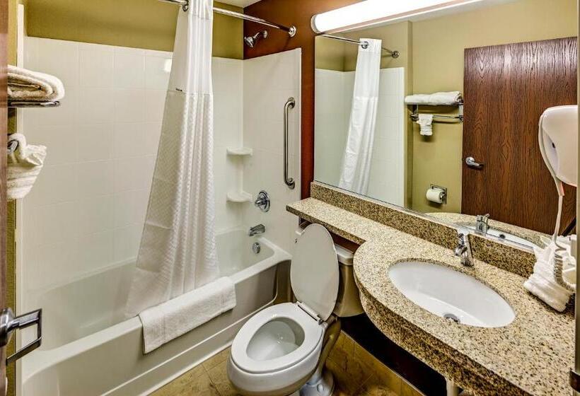 Номер Стандарт Адаптированный для Инвалидов, Microtel Inn And Suites North Canton